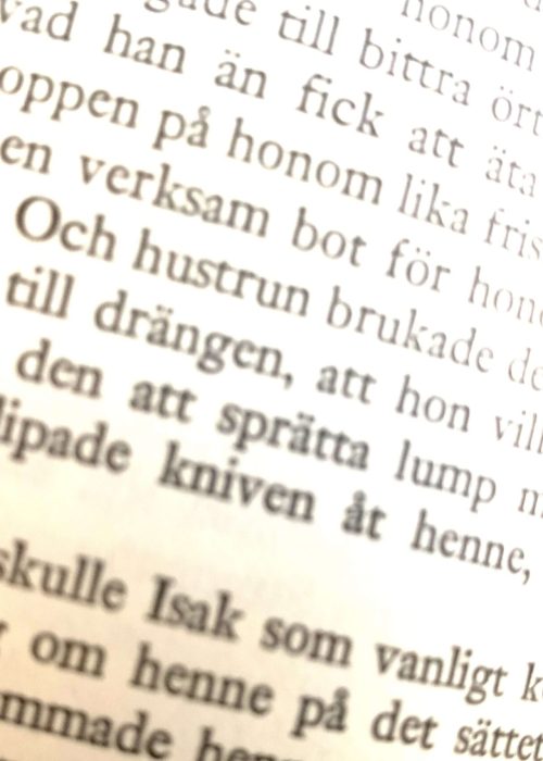 bild på text 2